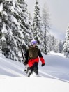 Volcom Freakin Snow Chino Pants