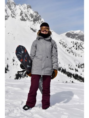 Kup Volcom Bridger Insulated Kalhoty 