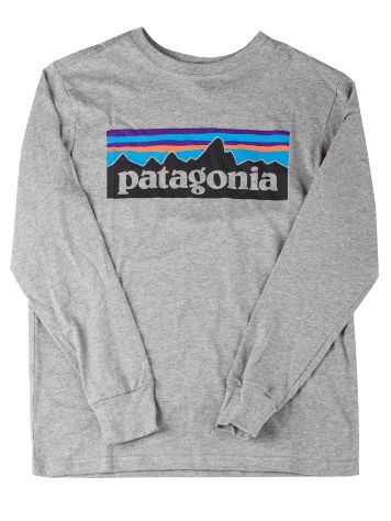 Patagonia Graphic Organic Longsleeve