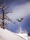 Arbor Bryan Iguchi Pro Camber 167W 2019 Snowboard