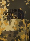 THE NORTH FACE Drew Peak Hoodie