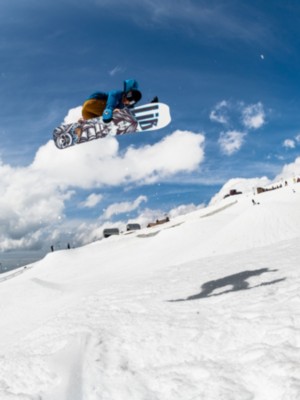 Jamie Lynn Phoenix Dagmar C2 157 Snowboard
