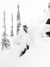 Lib Tech T-Rice Climax C2X 159 Snowboard