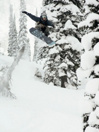 Ride Warpig 154 2019 Snowboard