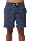 Light Salem Wave Volley 19'' Boardshorts