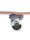Blue Tomato Logo 7.5″ Skateboard Completo