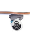 Blue Tomato Logo 7.5″ Skateboard Completo