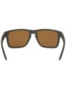 Oakley Holbrook XL Woodgrain