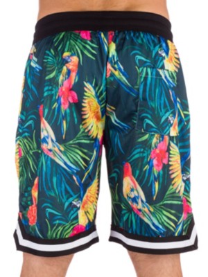 american stitch shorts