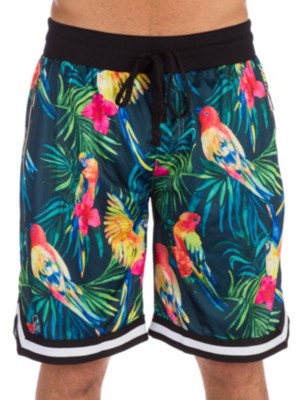 american stitch shorts