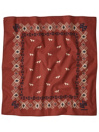 Patagonia Bandana Bandana