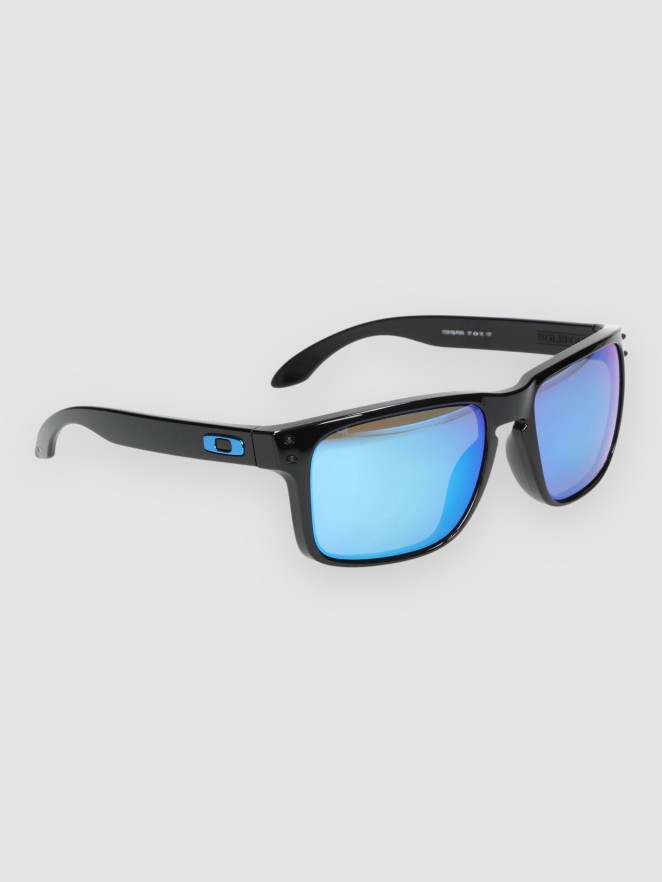 Oakley Holbrook Polished Black