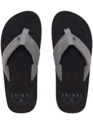 animal hyde flip flops