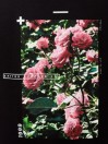 Empyre Vertigo Rose Long Sleeve T-Shirt