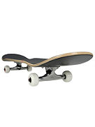 Goodstock 8.125&amp;#034; Skateboard Completo