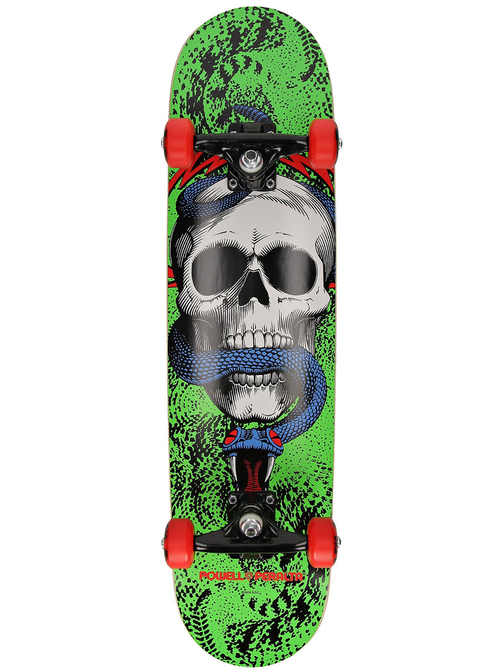 Skull &amp;amp; Snake 7.75&amp;#034; Skateboard complet