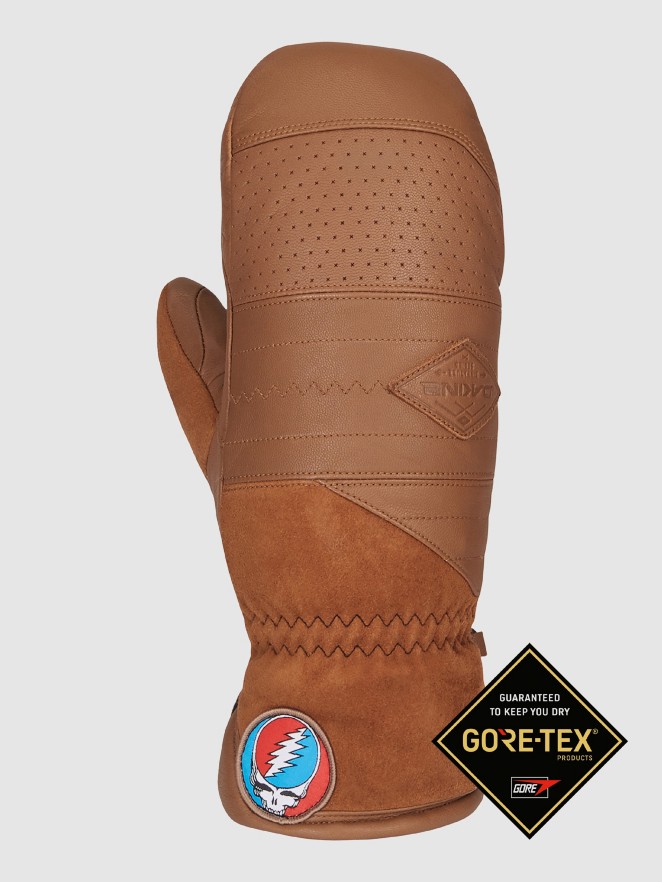 Dakine Team Baron Gore-Tex Palcáky