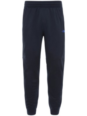 north face surgent pants