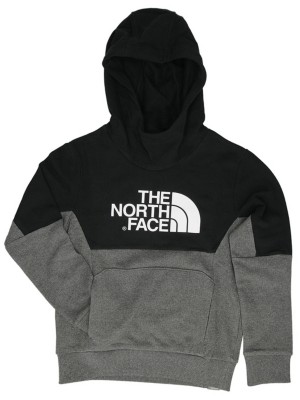 north face peak hoodie