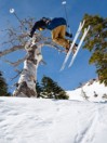 Line Sakana 166 2020 Ski