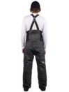 FW Manifest 2L Bib Pants