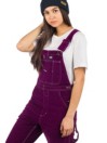 Dickies Marydell Dungaree Pantaloni