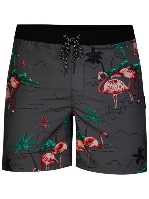 hurley flamingo board shorts