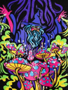A.LAB Magic Fungi Sudadera con Capucha