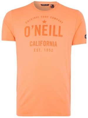 O'Neill Ocotillo T-Shirt oranje