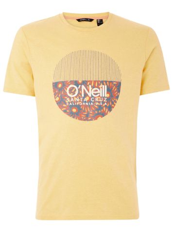 O'Neill Bedwell T-Shirt