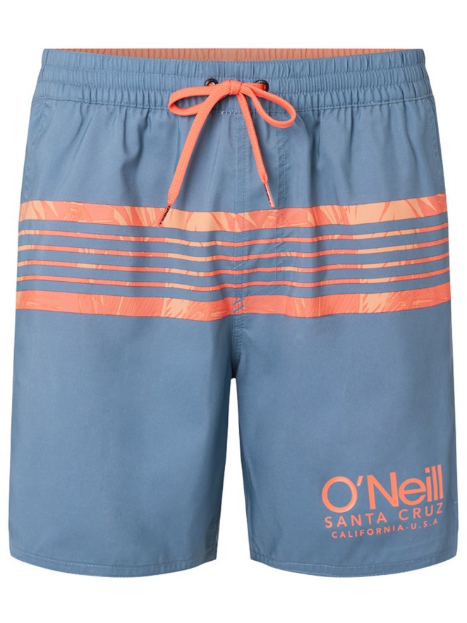 O'Neill Cali Stripe Boardshorts