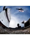 Nike SB Shane Skeittikengät