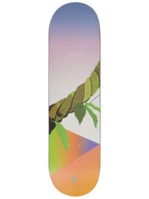 Girl Brophy Psychodelic Plants 8.125" Skateboard