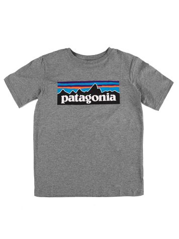 Patagonia P-6 Logo Organic T-Paita