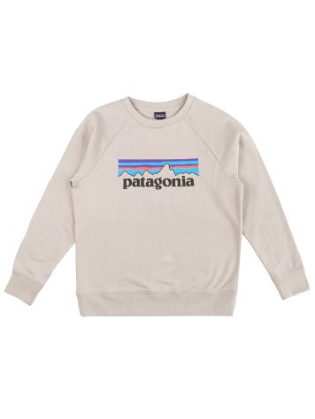 Patagonia Lw Crew Sweater