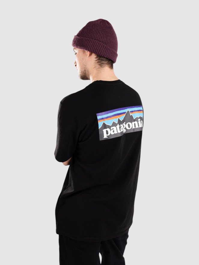 Patagonia P-6 Logo Responsibili T-Shirt