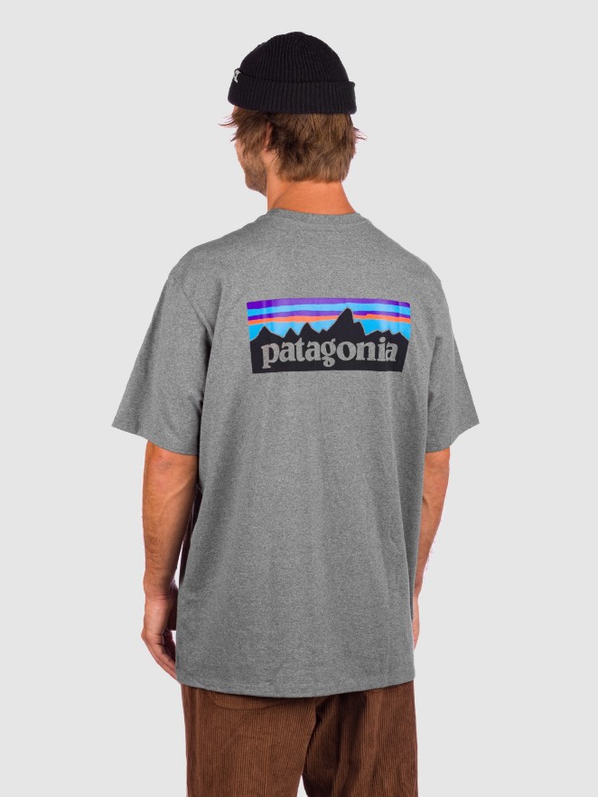 Patagonia P-6 Logo Responsibili T-Shirt