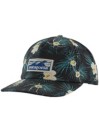 Patagonia Boardshort Label Funfarer Cap