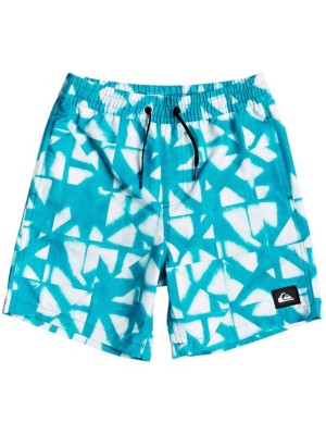 Синие детские шорты quiksilver. Boardshort Quiksilver детские. Шорты для плавания 25degrees target. Шорты купальные Quicksilver. Jack Jones jjiaruba шорты.