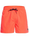 Quiksilver Everyday Volley 15 Boardshorts
