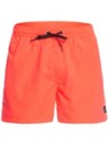 Quiksilver Everyday Volley 15 Boardshorts