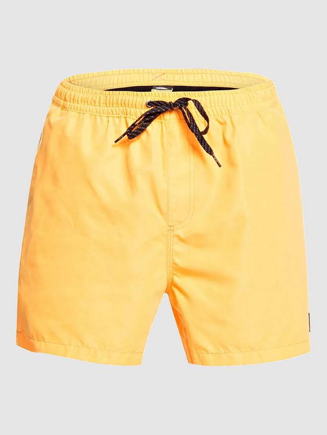 Quiksilver Everyday Volley 15 Boardshorts