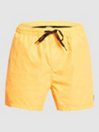Quiksilver Everyday Volley 15 Boardshorts