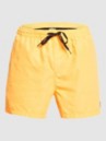 Quiksilver Everyday Volley 15 Boardshorts