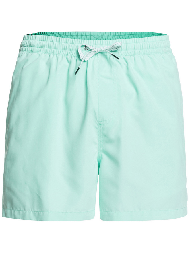 Quiksilver Everyday Volley 15 Boardshorts