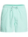 Quiksilver Everyday Volley 15 Boardshorts