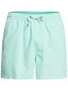Quiksilver Everyday Volley 15 Boardshorts