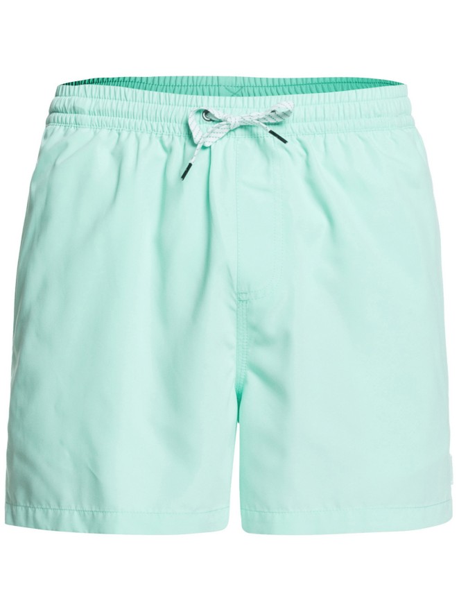 Quiksilver Everyday Volley 15 Boardshorts