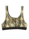 Akela Surf Arrow Bikini Top