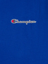 Champion Team Stripes T-Paita